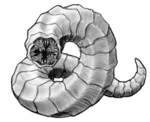 モンゴリアンデスワームのイラスト